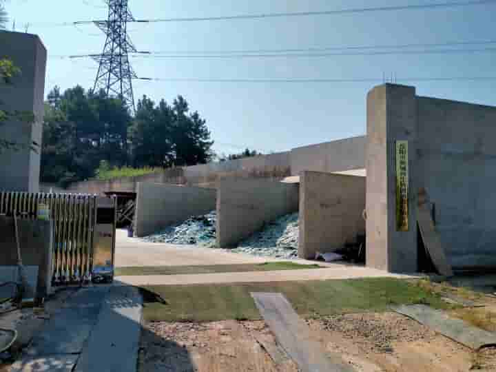 bo (1).jpg bo (1).jpg