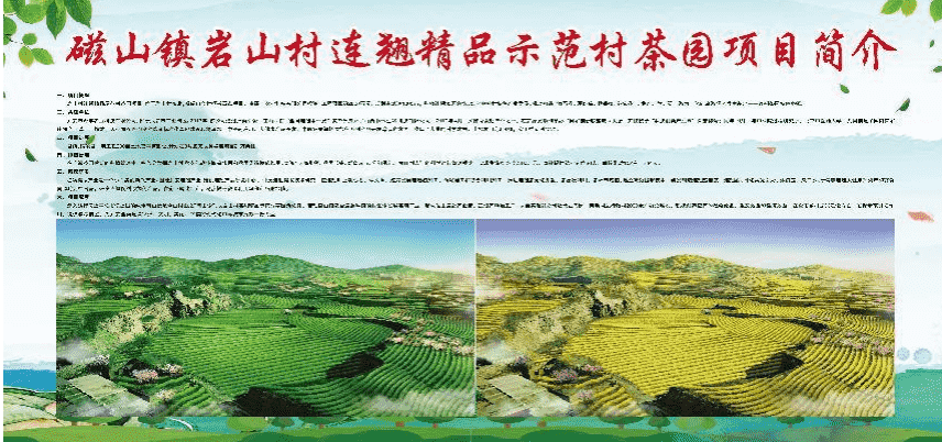 图片3 (2).png