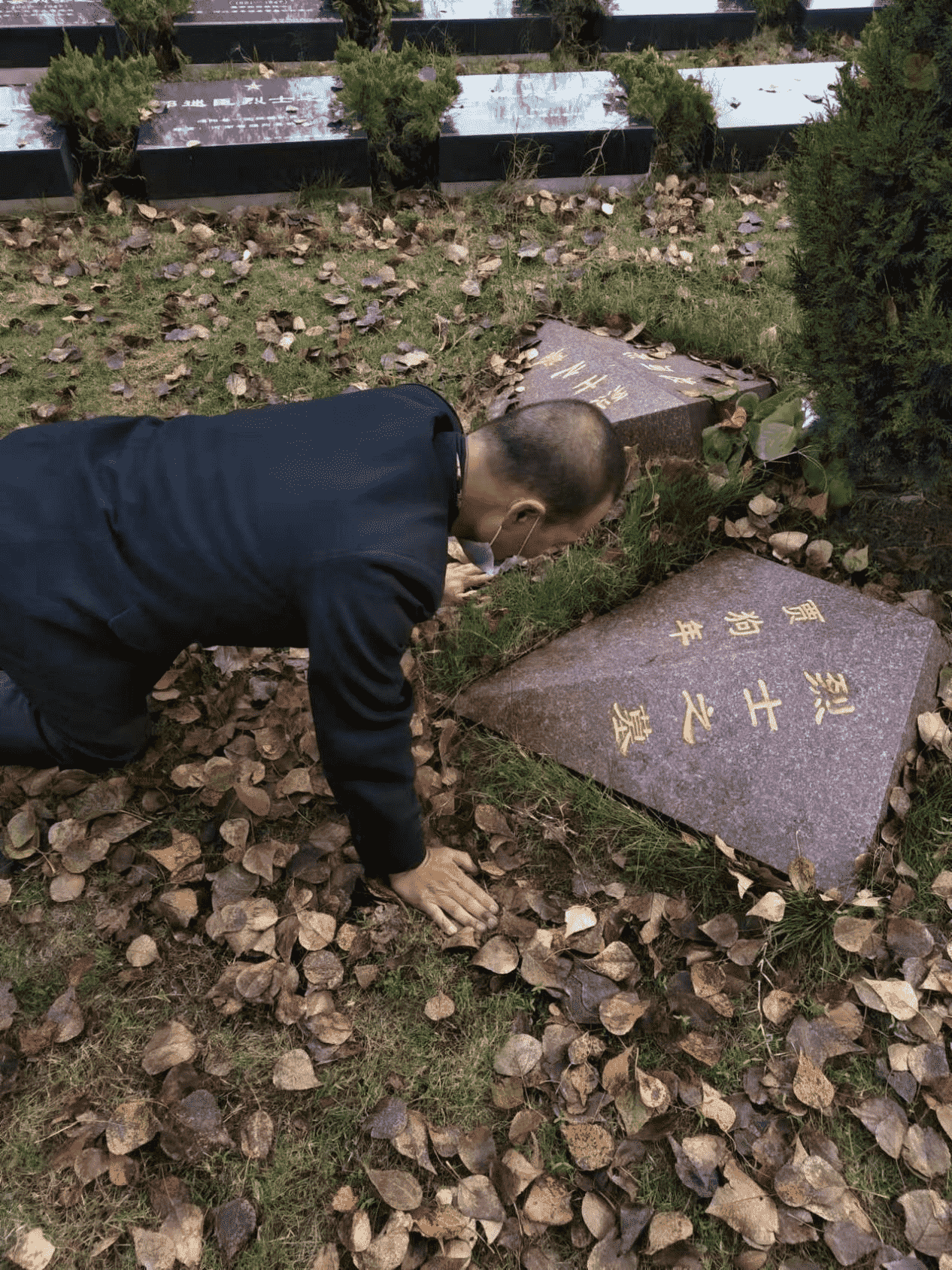 图片3 (9).png 图片3 (9).png