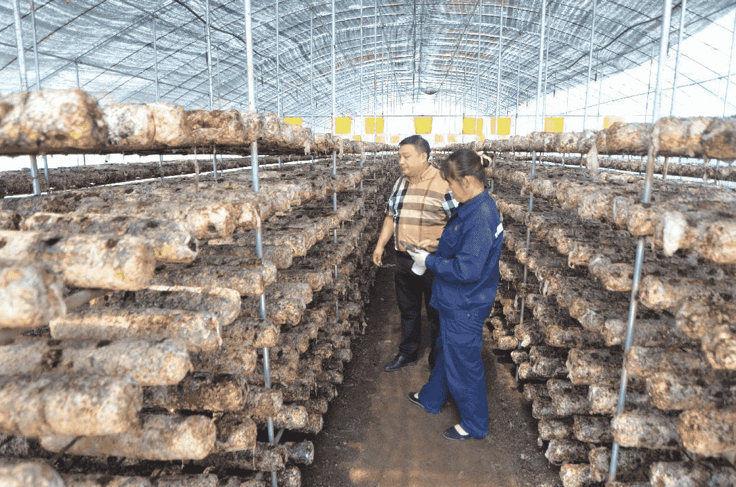 图片3 (10).png 图片3 (10).png